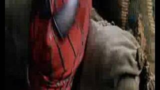 What If Many SPIDERMAN in 1 HOUSE  SPIDERMANs Story New Season 3  All Action Funny [upl. by Anilosi]