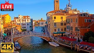 🔴 4K Live Cam of Ponte delle Guglie Venice  View from Hotel Leone Venezia  Live stream ライブカメラ [upl. by Benito899]