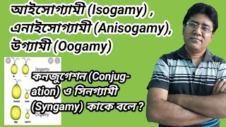 What is Isogamy Anisogamy Oogamy  conjugation amp Syngamy আইসোগ্যামী এনাইসোগ্যামী উগ্যামী কনজুগেশন [upl. by Shuma198]