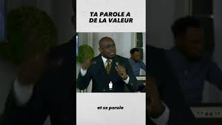 Ta parole a de la valeur  michelambouroue [upl. by Pollock339]