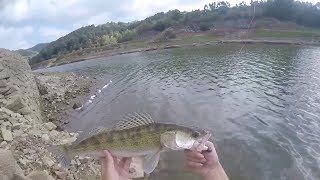 Pesca Luciopercas en Cataluña [upl. by Aliza]