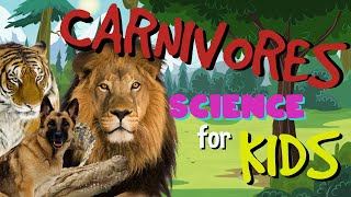 What is a Carnivore  Science for Kids [upl. by Zilla]