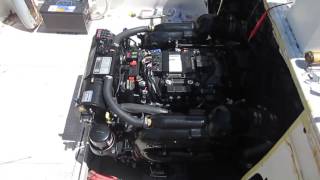 Mercruiser 6 2L Seacore 300hp Engine Repower [upl. by Nylatsyrc]