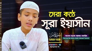 চমৎকার কন্ঠে সূরা ইয়াসিন  Surah Yasin  سورة يس হাফেজ সালেহ আহমদ তাকরীম  Hafez Saleh Ahmad Takrim [upl. by Botti479]