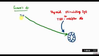 THYROTOXICOSIS  Hyperthyroidism  Graves disease  MEDICINE  Endocrine  THYROID GLAND  Part 4 [upl. by Averi]