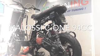 Malossi cone 94 cc 29HP [upl. by Euqenimod]