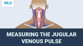 Measuring the jugular venous pulse [upl. by Adrienne21]