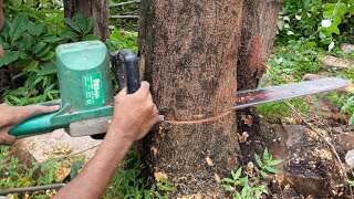 Chainsaw Machine Experiment Electric Masin  light Wali Masin Experiment Video [upl. by Newmann]