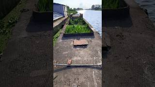 River fishing video 2024 [upl. by Rebna]