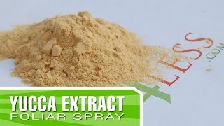 Yucca Extract  Why would you use it as fertilizer [upl. by Ecnerewal]