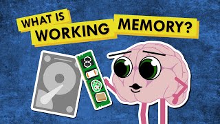 Why I Cant Remember Things  How ADHD Affects Working Memory [upl. by Onoitna]