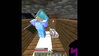 my dogs turned vegan on 1House SMP [upl. by Savill]