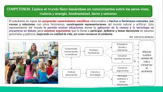 Procesos Didácticos del Área de Ciencia y Tecnología Nivel Primario  ASCENSO DE ESCALA 2019 [upl. by Anon]