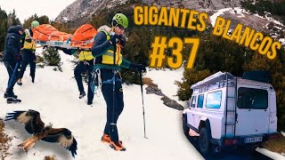 Gigantes Blancos 37  Programas completos  ATV [upl. by Qooraf]