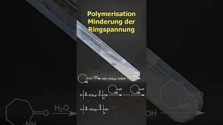 Synthese von Perlon aus Caprolactam chemie science kunststoff experiment [upl. by Hsevahb338]