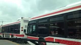 TTC Bus Ride at Arrow Rd Division POV [upl. by Collyer]