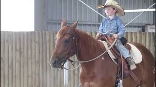 2024 Nutrien Classic Sale  Lot 327 Lanina cowhorse campdrafting nutrienclassic familyhorse [upl. by Eimmis]