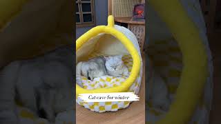 Cat cave for winter Link is on bio or copywwwniopetscom [upl. by Souvaine]