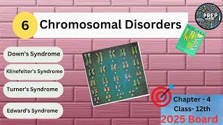 Chromosomal Disorders  Downs Syndrome Klinefelters Syndrome  Turners Syndrome  12th Biology [upl. by Esaele]