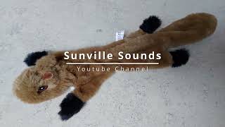 1 Hour of Squeaky Squirrel Toy Sound [upl. by Gardel]