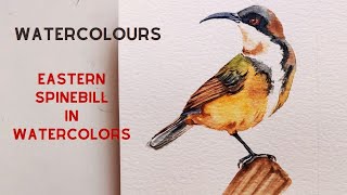 This Watercolor Bird Tutorial Will Blow Your Mind Watch Me Paint an Eastern Spinebill Step by Step [upl. by Rew210]