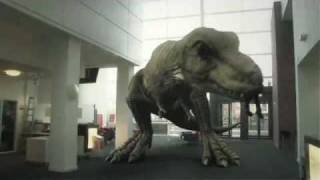 T Rex In The Atrium 2010 [upl. by Yelkrab890]