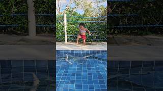 Jumping into the pool 😢😰😱🦈🦈funny shark mar Water megalodon funnymoments comedy [upl. by Louth96]