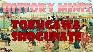 History Mini 1  Tokugawa Shogunate [upl. by Caassi815]