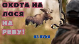 Охота на лося на вабу на реву гону Охота с лука Интереснейшая охота и очень тяжёлая [upl. by Romney]