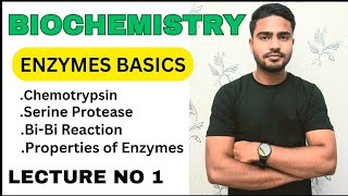 Enzyme basics ChemotrypsinBiBi Reaction serine protease properties of Enzymes [upl. by Gebhardt]