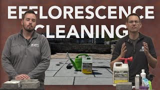 Efflorescence Cleaning Tips [upl. by Spiers]