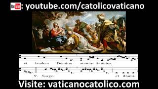 Omnes de Saba  Canto Gregoriano  Gregorian Chant [upl. by Anneirb473]