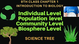 The Impact of Individual Population Community and Biosphere Levels [upl. by Bumgardner]