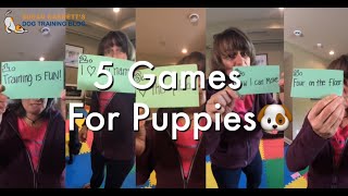 Susan Garretts 5 Games for Puppies [upl. by Asim588]