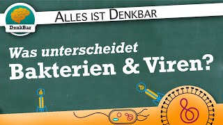 Unterschiede von Bakterien und Viren [upl. by Ala]