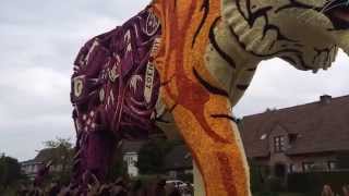 Loenhout Bloemencorso Sfeerbeelden 2015 [upl. by Akimet246]