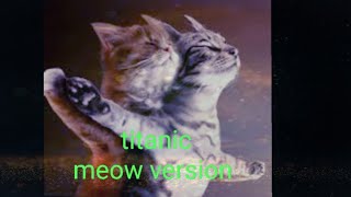 Cat videosTitanic versionmeow titanic version [upl. by Euqinemod]