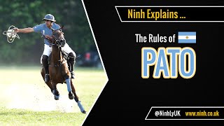 The Rules of Pato Horseball  EXPLAINED [upl. by Daveda]