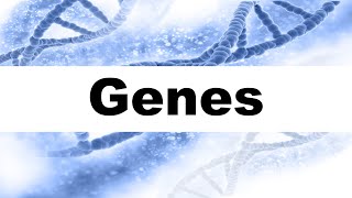 Genes Definition and Examples with Illustration [upl. by Veronica]