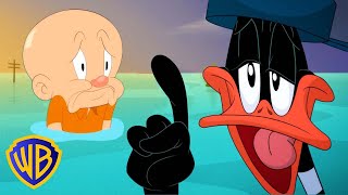 Looney Tunes en Latino Lucas no puede repararlo todo  WB Kids [upl. by Darrey]