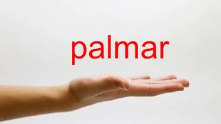 How to Pronounce palmar  American English [upl. by Torry737]