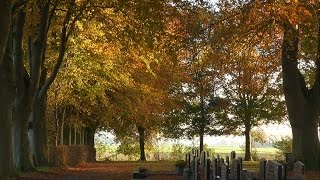 2014 NH Kerk Kolderveen herfst beelden [upl. by Drofiar568]