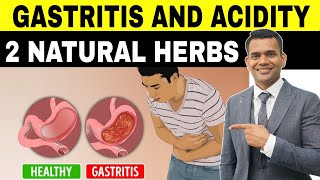 Gastritis Acidity and Indigestion  Ayurvedic Herbs To Treat Gas And Acidity [upl. by Ailad]