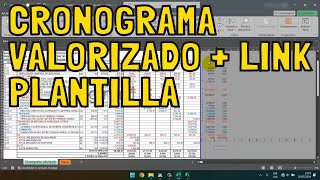 🏗️Como hacer un cronograma VALORIZADO de avance físico de obra en Project y Excel🧱 [upl. by Eniahs997]