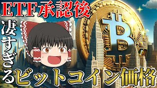 【ガチすぎる結果】ETF承認後のビットコイン価格を様々なデータから大調査。 [upl. by Ayotna]