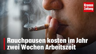 Rauchpausen kosten im Jahr zwei Wochen Arbeitszeit  kronetv NEWS [upl. by Switzer]