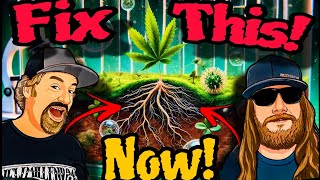 This is The Secret to Growing The BEST Cannabis in Any Growing Medium [upl. by Billie]