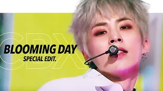 EXOCBX 첸백시  Blooming Day Stage Mix교차편집 Special Edit [upl. by Johnsson]