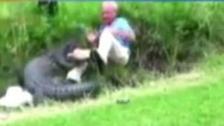 Man Describes Frightening Alligator Attack That Was Caught On Tape [upl. by Yesac149]