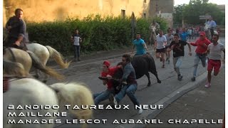 BANDIDO TAUREAUX NEUF MAILLANE 22072016 [upl. by Accebber]